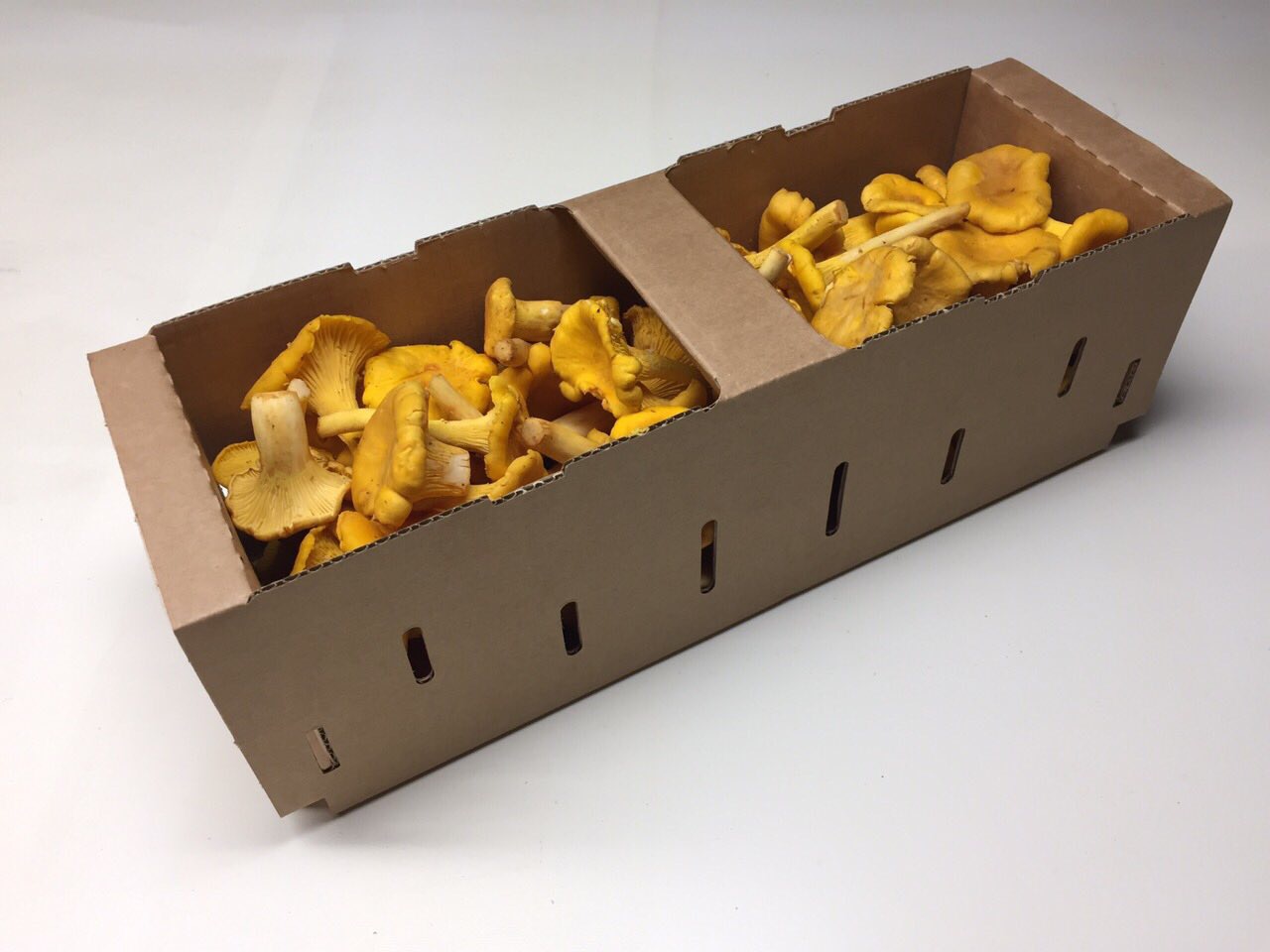 chanterelles